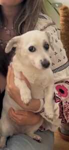 Check